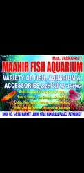 Maahir fish Aquarium pathankot 